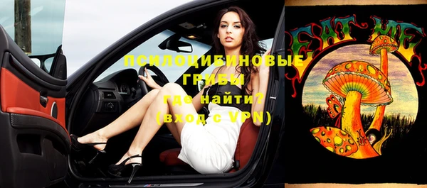 хмурый Вязьма