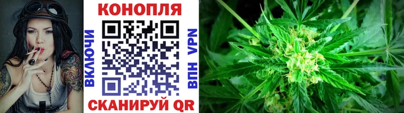 МАРИХУАНА гибрид купить наркотик Пущино